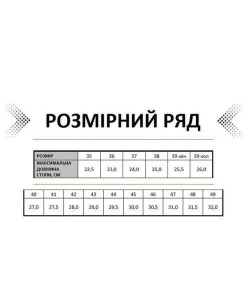 Тактичні кросівки Койот "Desert Trekking" (літні) copy_0000030 (41) фото